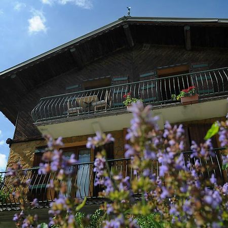 Chalet Génépi Montriond Exterior foto