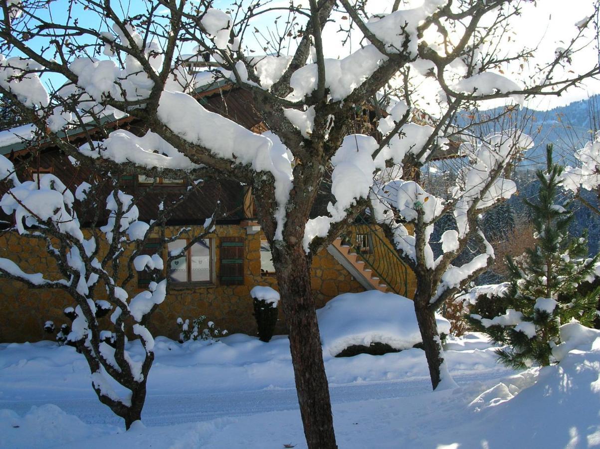 Chalet Génépi Montriond Exterior foto